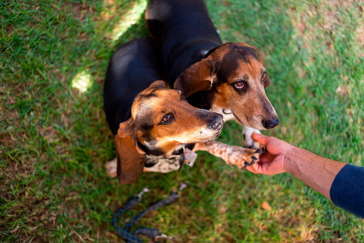 La Rivera de Cajititlán
